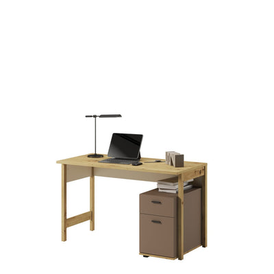 Lenny LY-04 Computer Desk 125cm